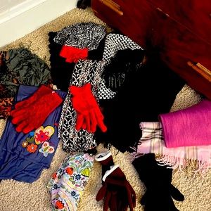 Scarf and Glove Lot